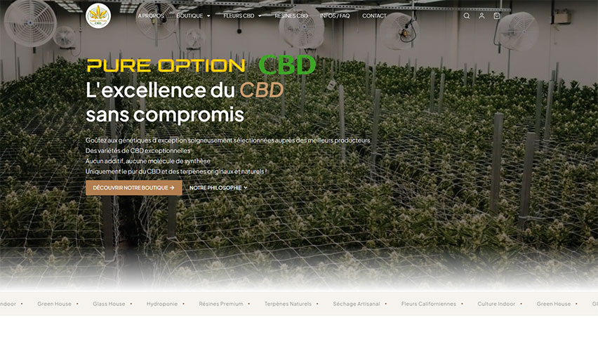 Illustration de l’article : Comment créer votre boutique en ligne CBD professionnelle ?